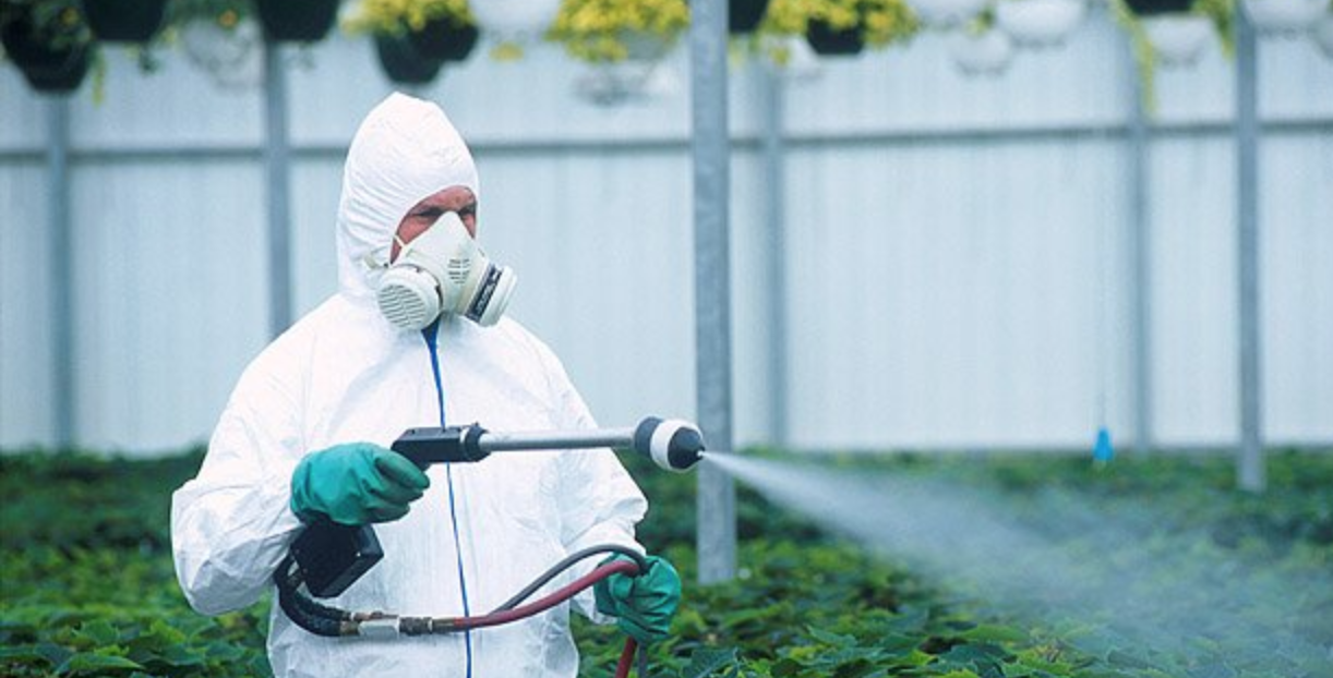 Международный день борьбы с пестицидами